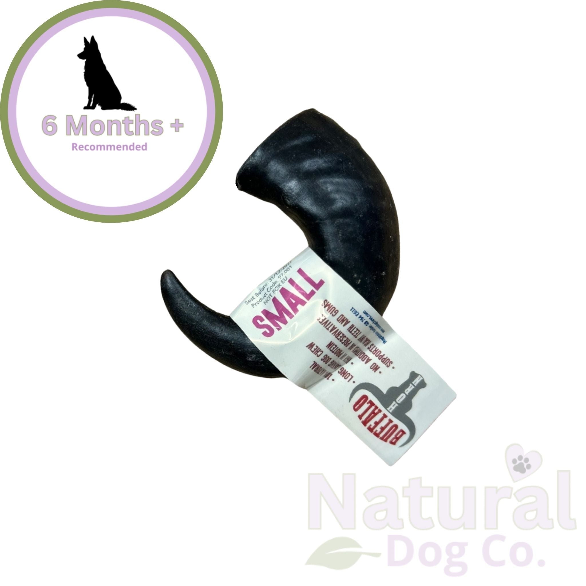 Buffalo Horn Small