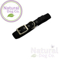 Ancol Dog Collar - Black