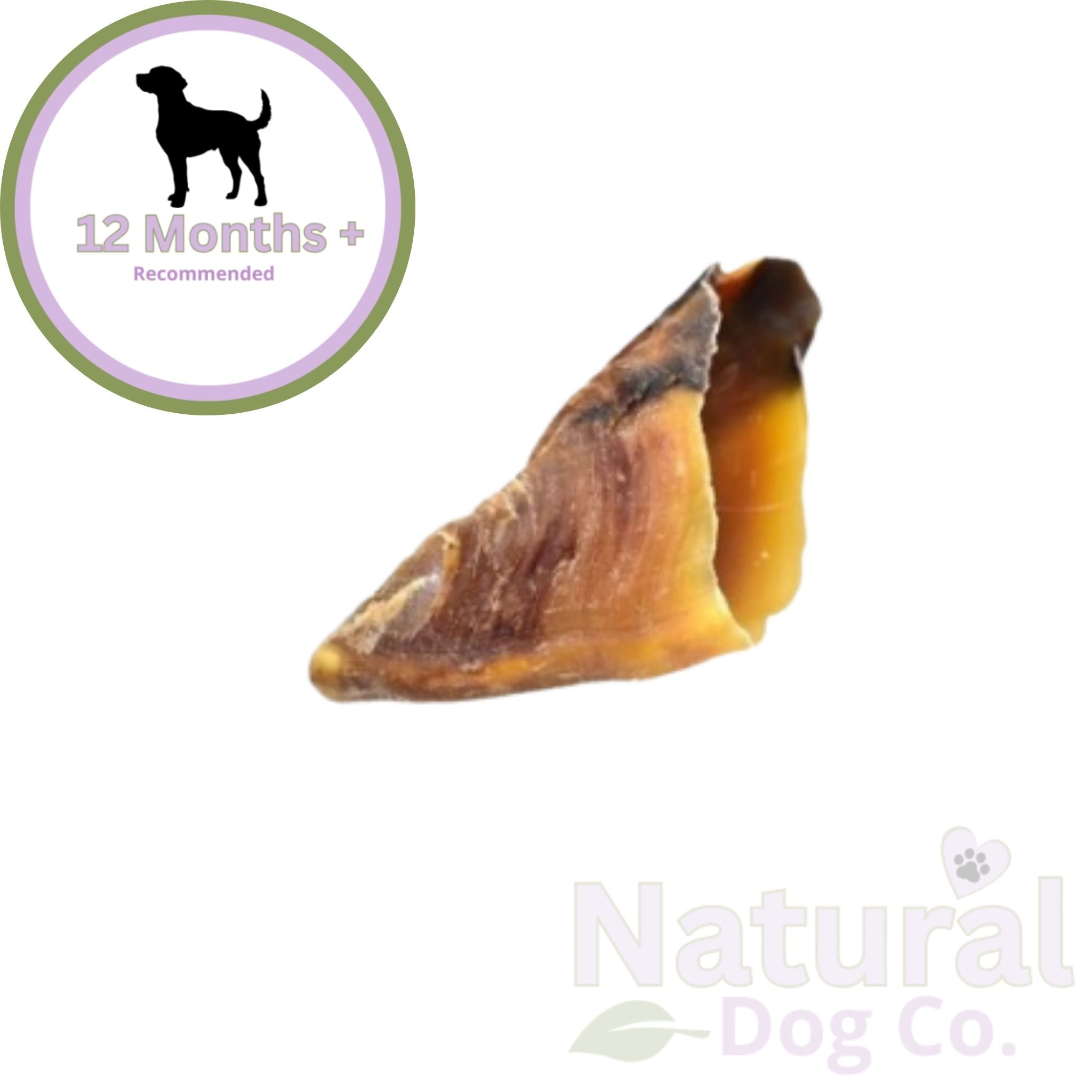 Cow Hoof