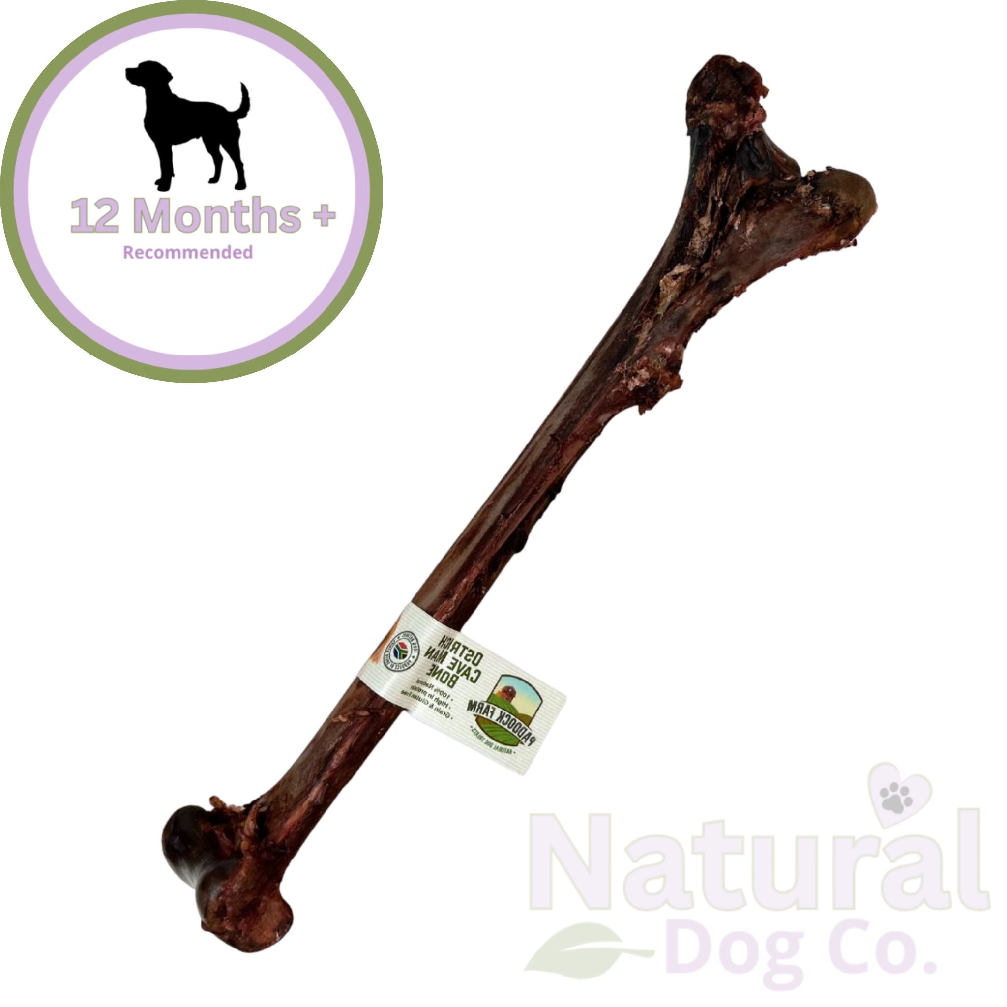 Ostrich Caveman Bone
