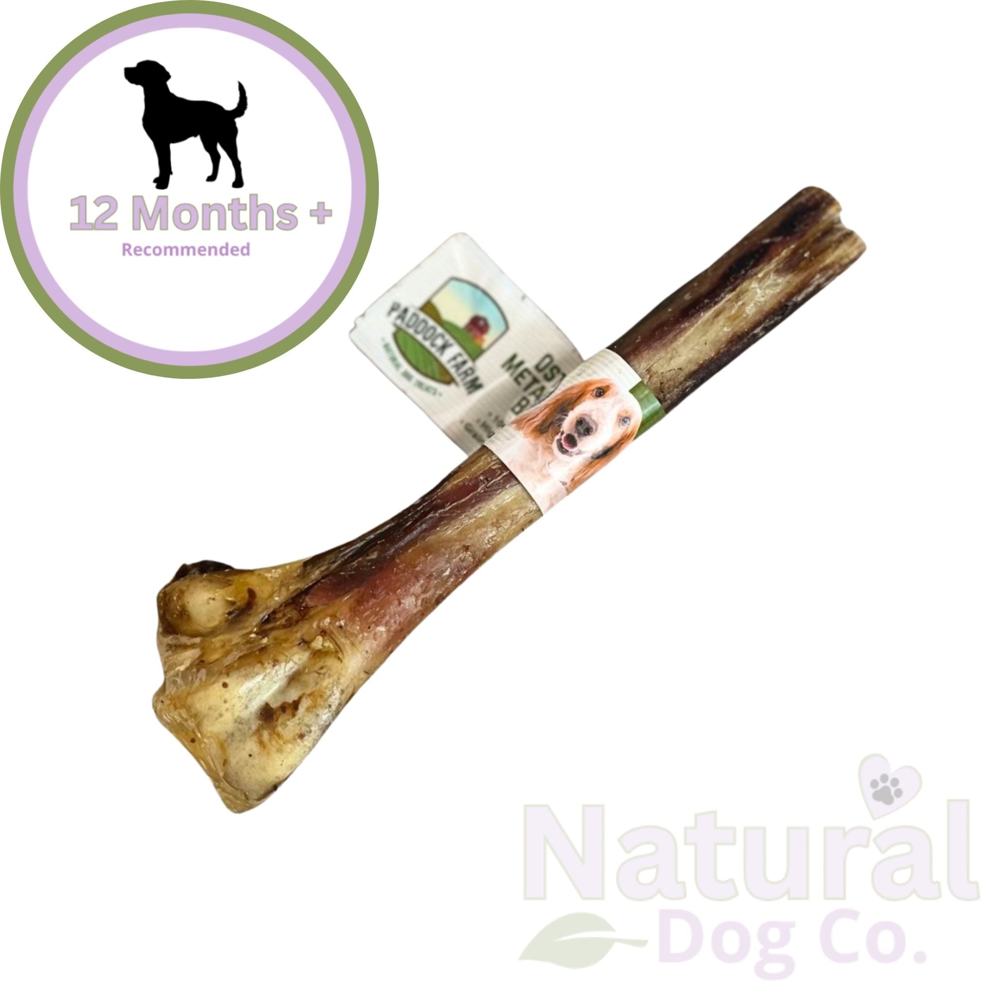 Ostrich Metatarsus Bone