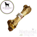 Ostrich Dino Bone