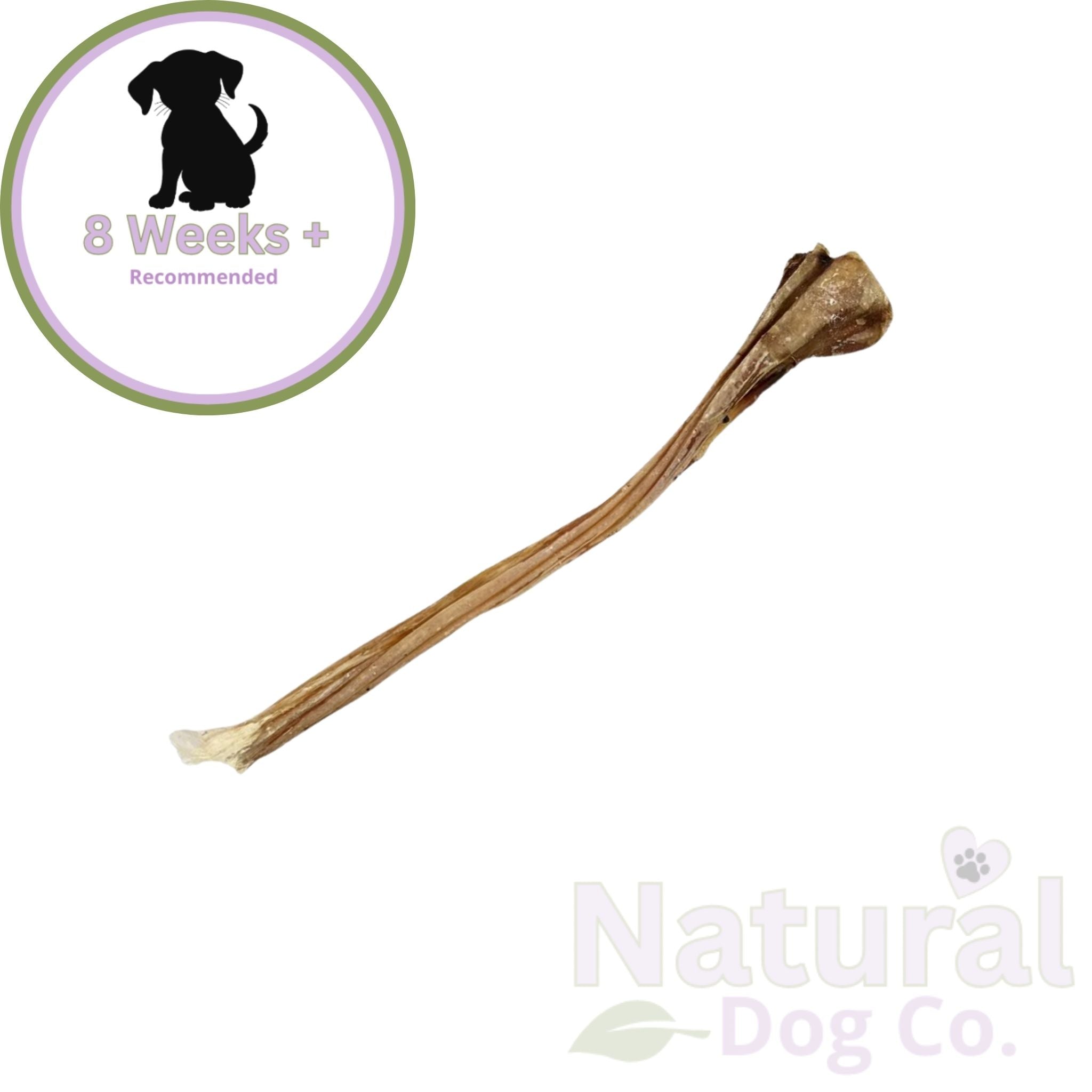 Ostrich Tendon
