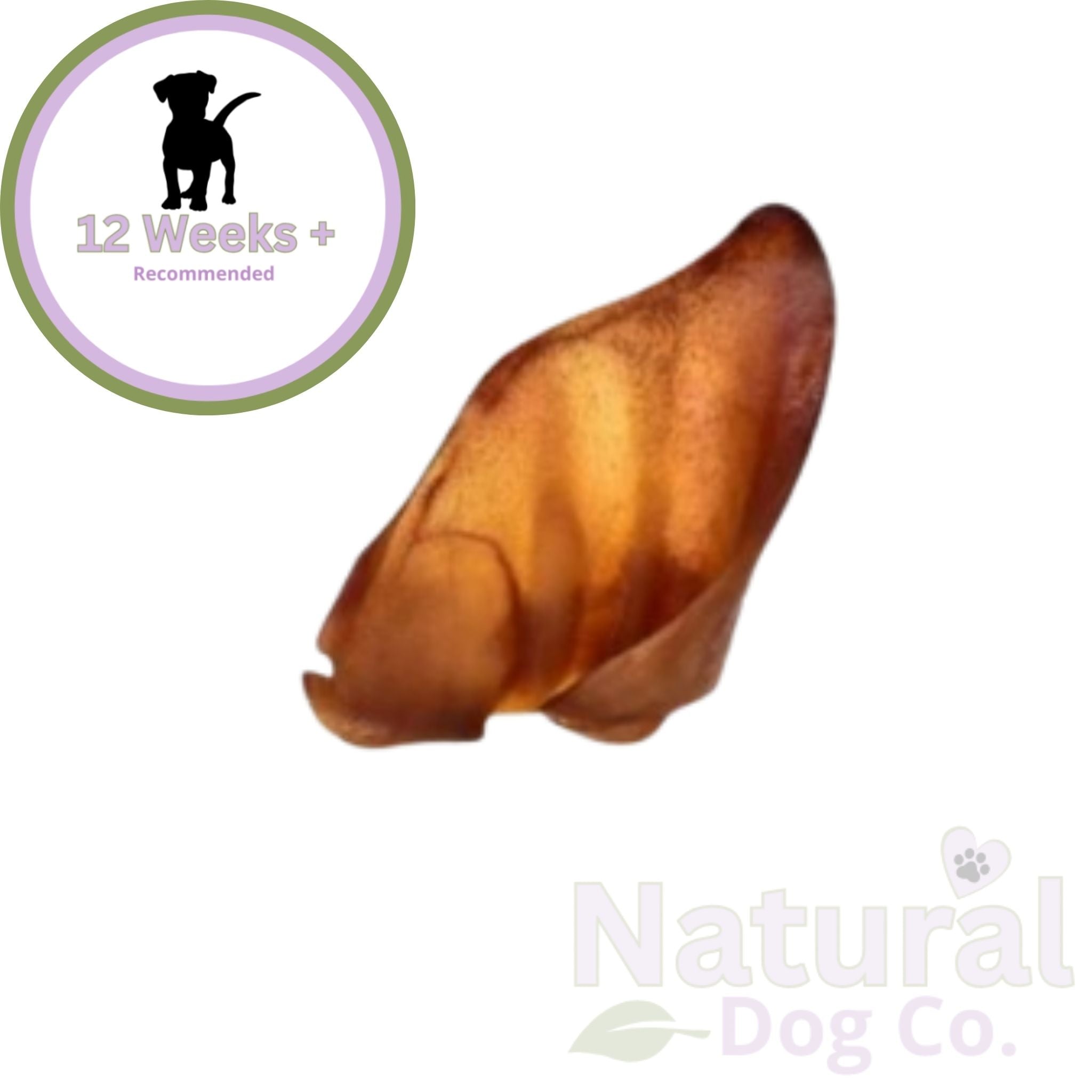 Large Pig Ear