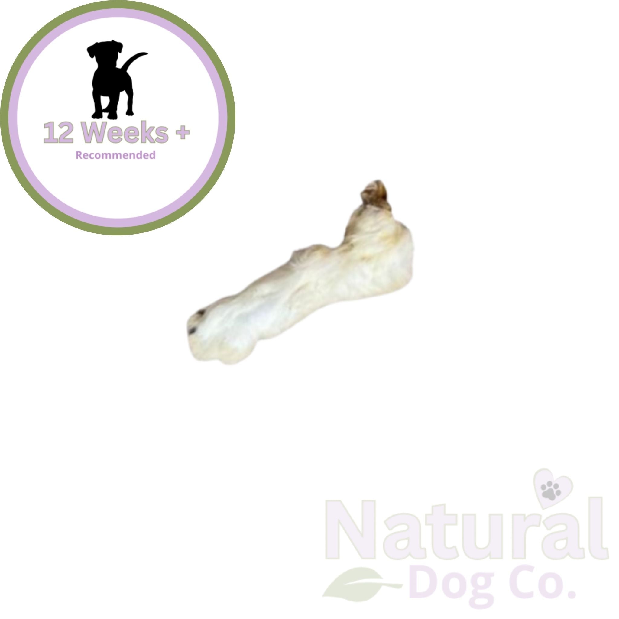 Rabbit Foot