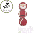 Christmas Santa Balls
