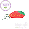 Smart Choice Strawberry Water Sprinkler