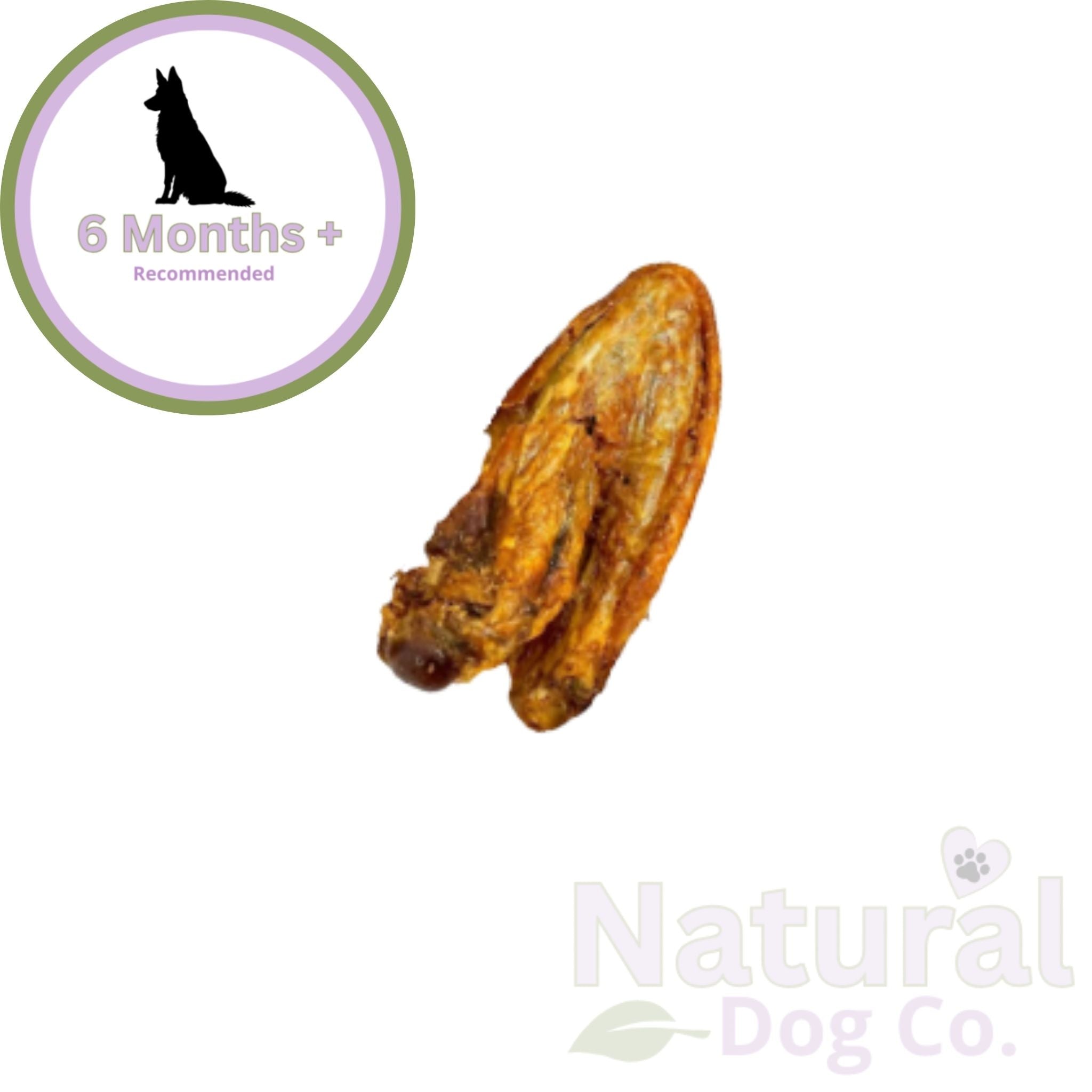 Turkey Wing