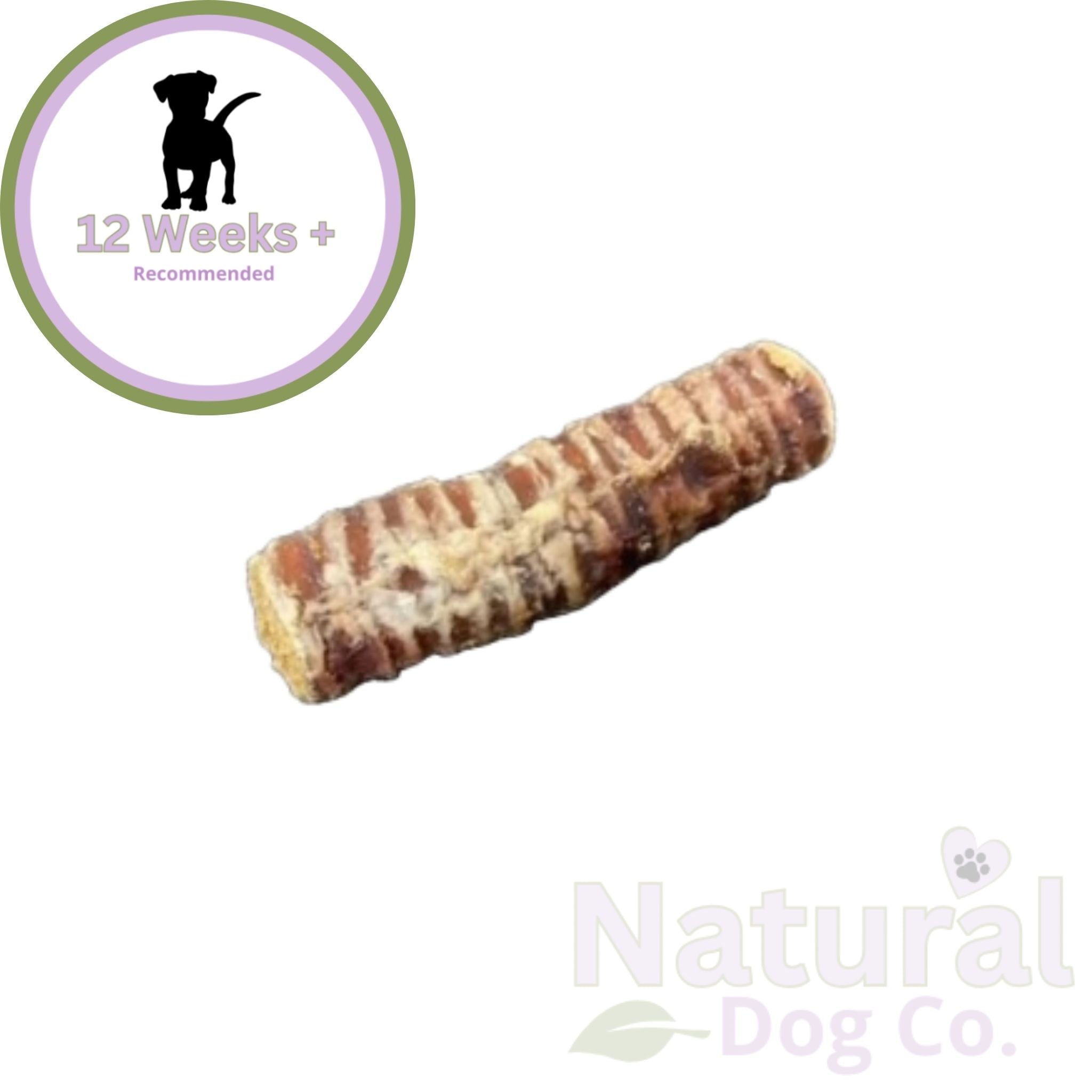 Collagen Filled Trachea