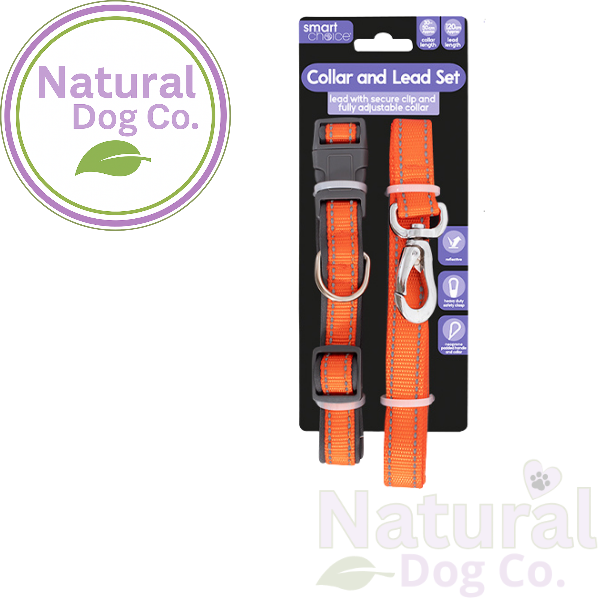 Reflective Dog Collar & Lead Set