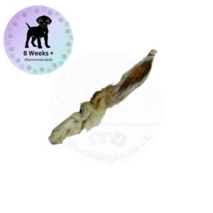 Rabbit Ear with Fur