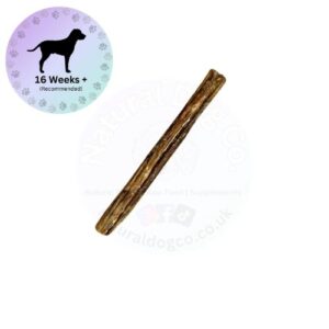 Buffalo Pizzle 12cm
